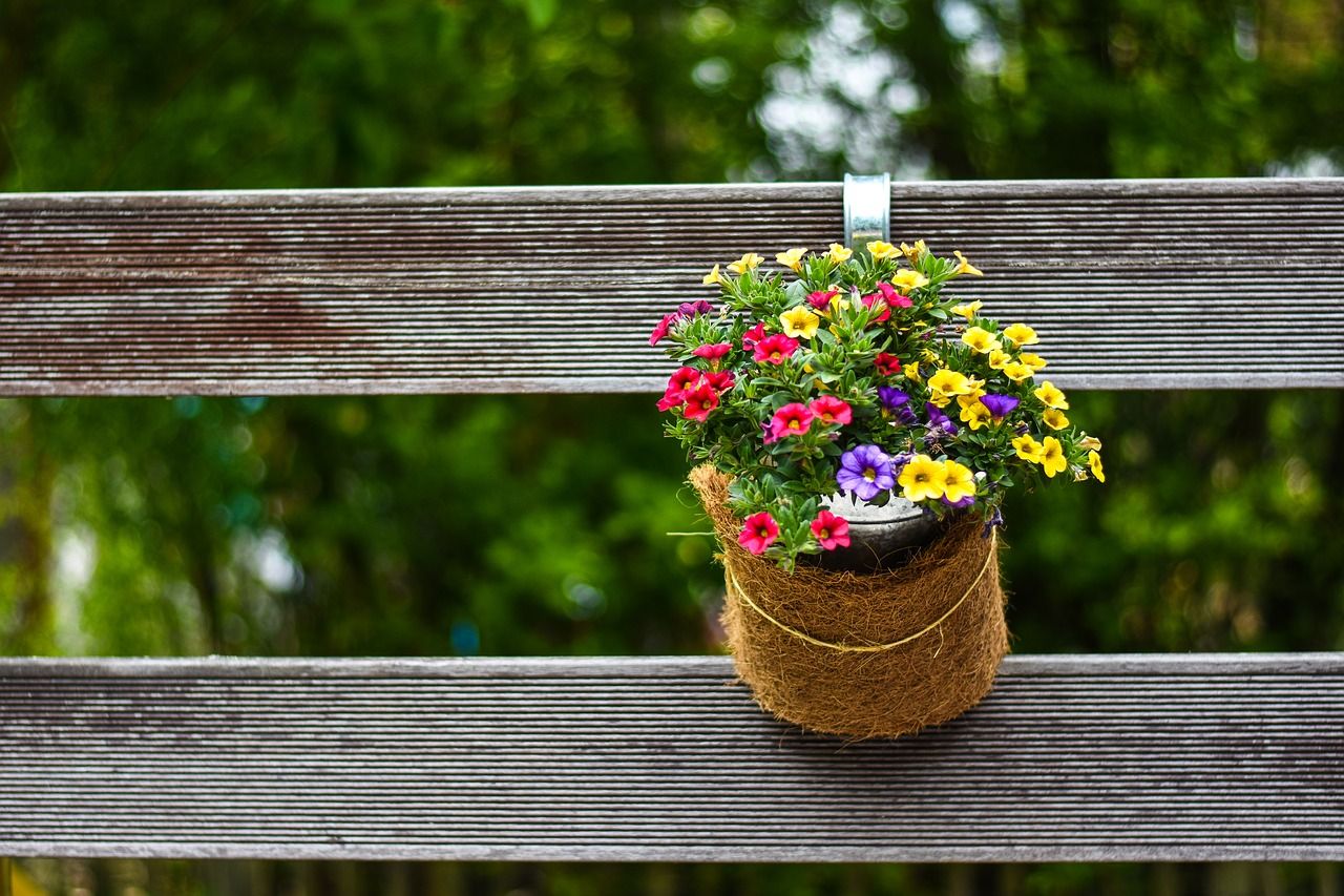 spring flowers